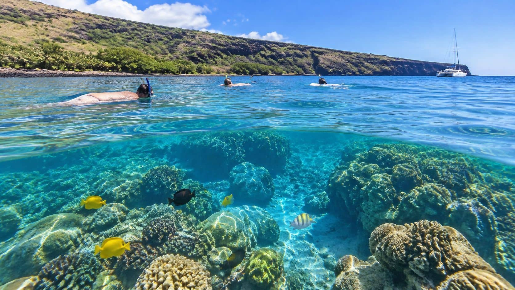 Snorkelers swim over a vibrant coral reef in clear blue water with a boat in the distance.