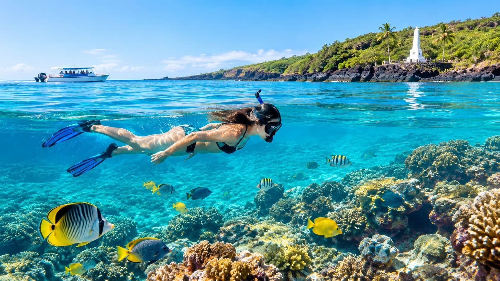 Captain Cook Snorkeling Kona: Best Times, Spots and Tips