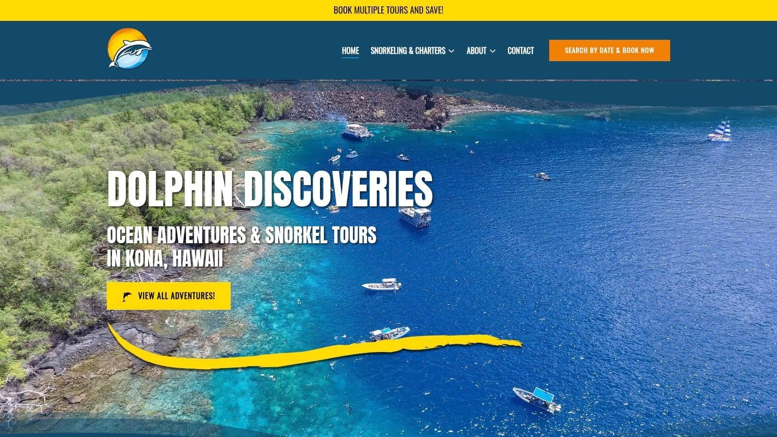 Dolphin Discoveries