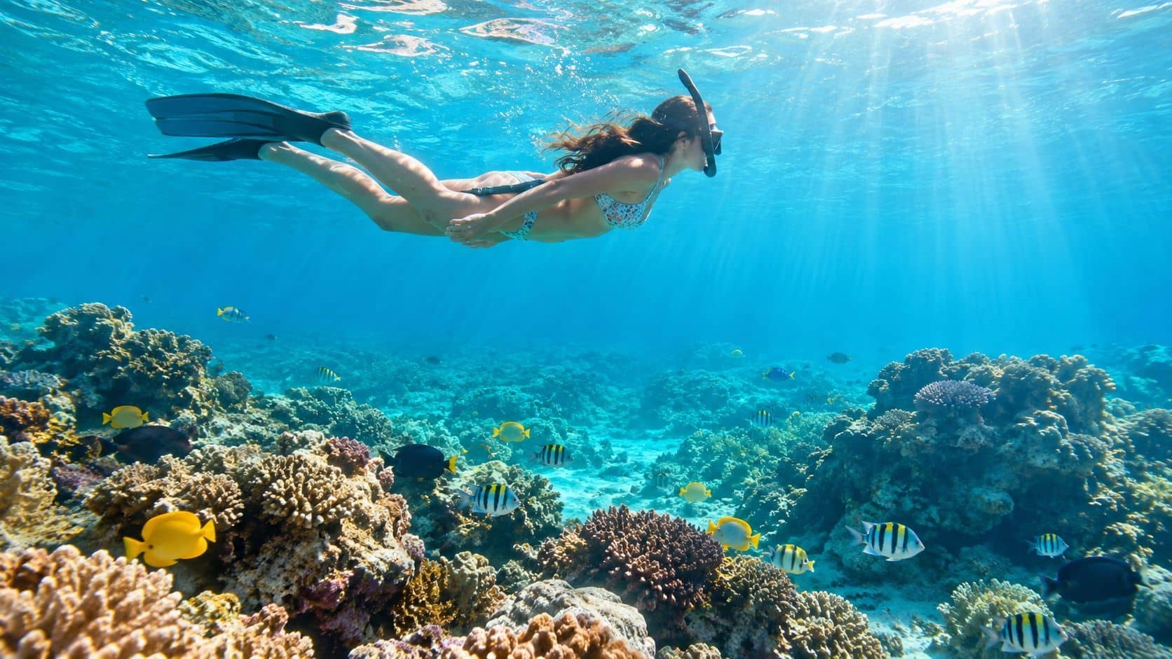 A snorkeler swims over a vibrant coral reef filled with tropical fish in clear blue ocean water.