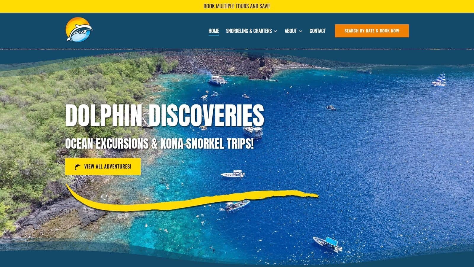 Dolphin Discoveries